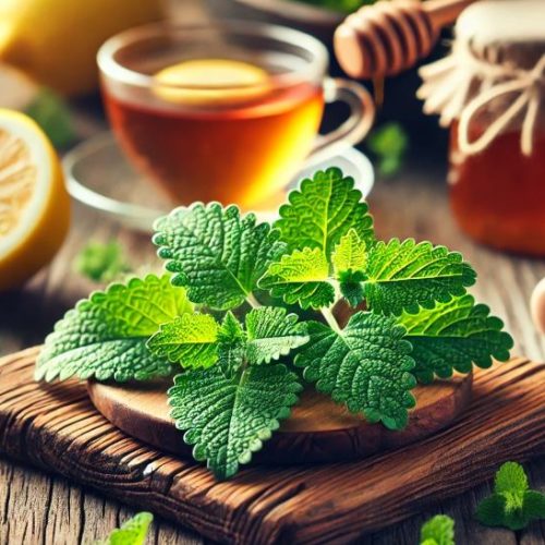 What is Lemon Balm?